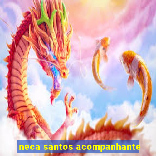 neca santos acompanhante